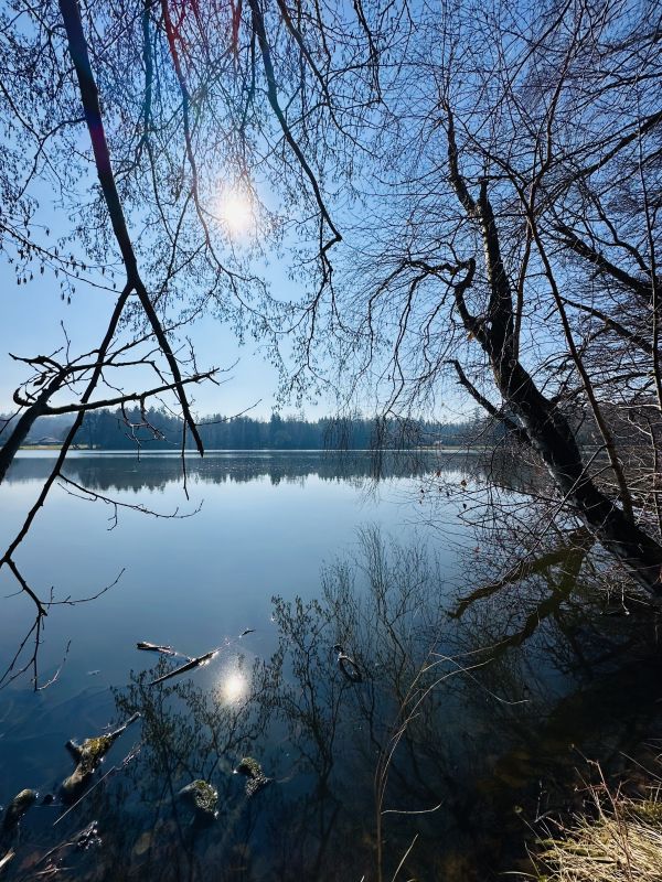 VIP VILA V ÚDOLÍ (3)