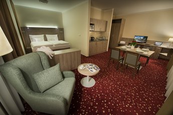 EA Hotel Kraskov**** - double junior suite