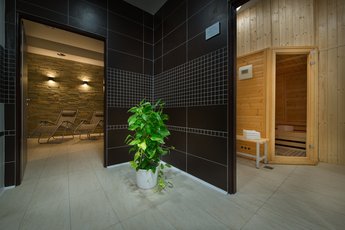 EA Hotel Kraskov**** - sauna
