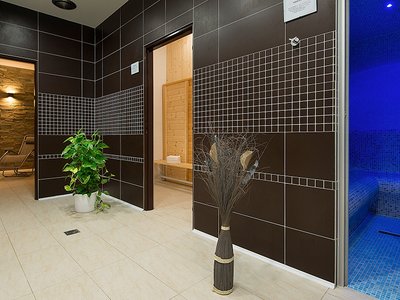 EA Hotel Kraskov**** - sauna